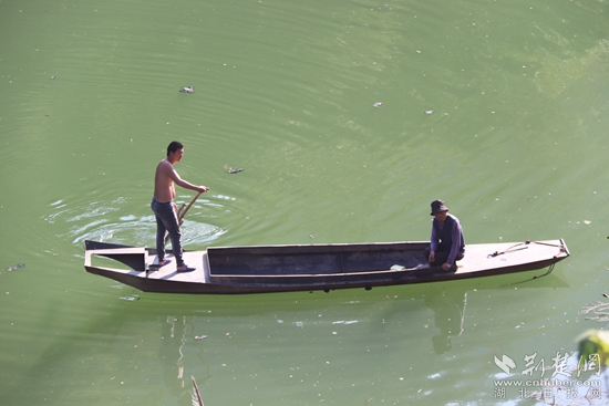 乘船出行、打魚(yú)至今都是盤山村民生活的一部分 黃錚 攝_副本.jpg