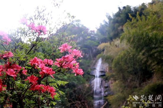 黃龍山頂，風(fēng)景如畫 黃錚 攝_副本.jpg.jpg